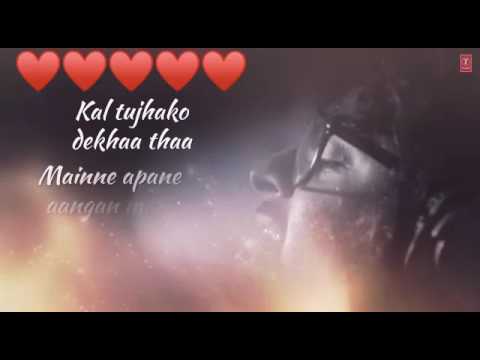 Pal Pal Dil Ke Pass Tum Rahte Ho Ringtone