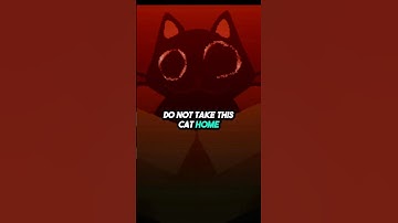 DO NOT TAKE THIS CAT HOME WITH YOU!!! #shorts
