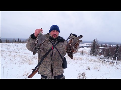 Video: Paraguay Rancher: 