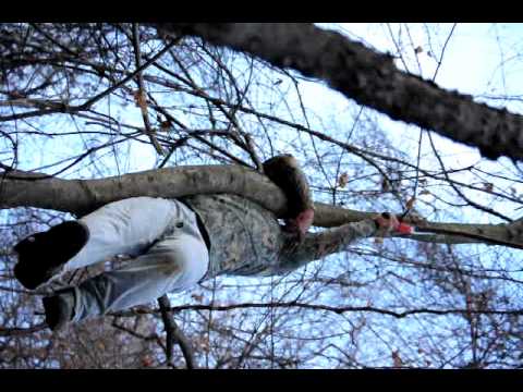 Jay Perkins climbing a tree