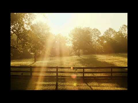 A Good Enough Day by Royal Wood - Piano and Vocal Cover by Darren Malthouse