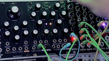 Anima Ritual Electronics as dual VCO and overview curves with Pico LPG