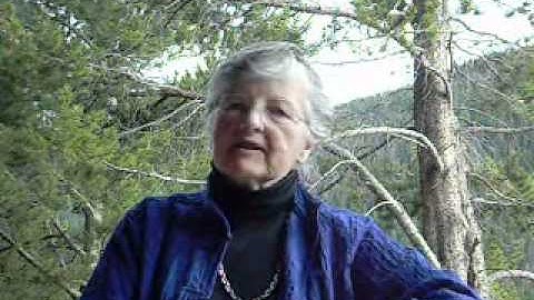 Fran Allen on CS as a professional field and the glass ceiling