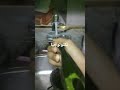 ١٨ يوليو ٢٠٢٥ ١٨ يوليو ٢٠٢٥
