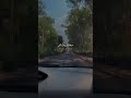 حسام جنيد 