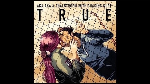 AKA AKA & Thalstroem feat. Chasing Kurt - True