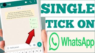 How to make WhatsApp Tick One But Online