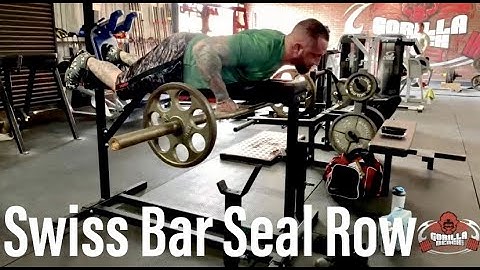 Swiss Bar Seal Row