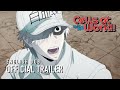Cells at Work!! English Dub Trailer