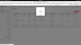 Celebrity Basic Openstack Administration Part 4 - Custom Flavor and Image Creation Wealth