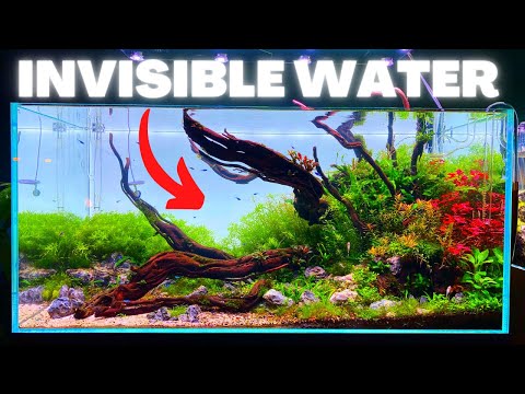 HOW TO: CRYSTAL CLEAR AQUARIUM WATER! EVEN WITHOUT A FILTER!