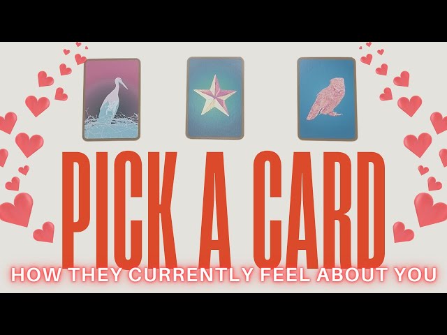 How They're Currently Feeling About You 💘!! Pick a Card Tarot Reading 🔮 class=