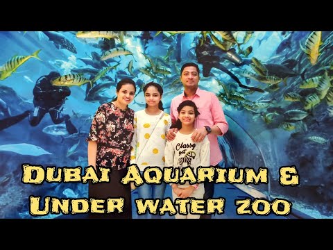 Dubai Aquarium | Dubai Aquarium & Under Water Zoo | World Largest Aquarium | Penguin Cove