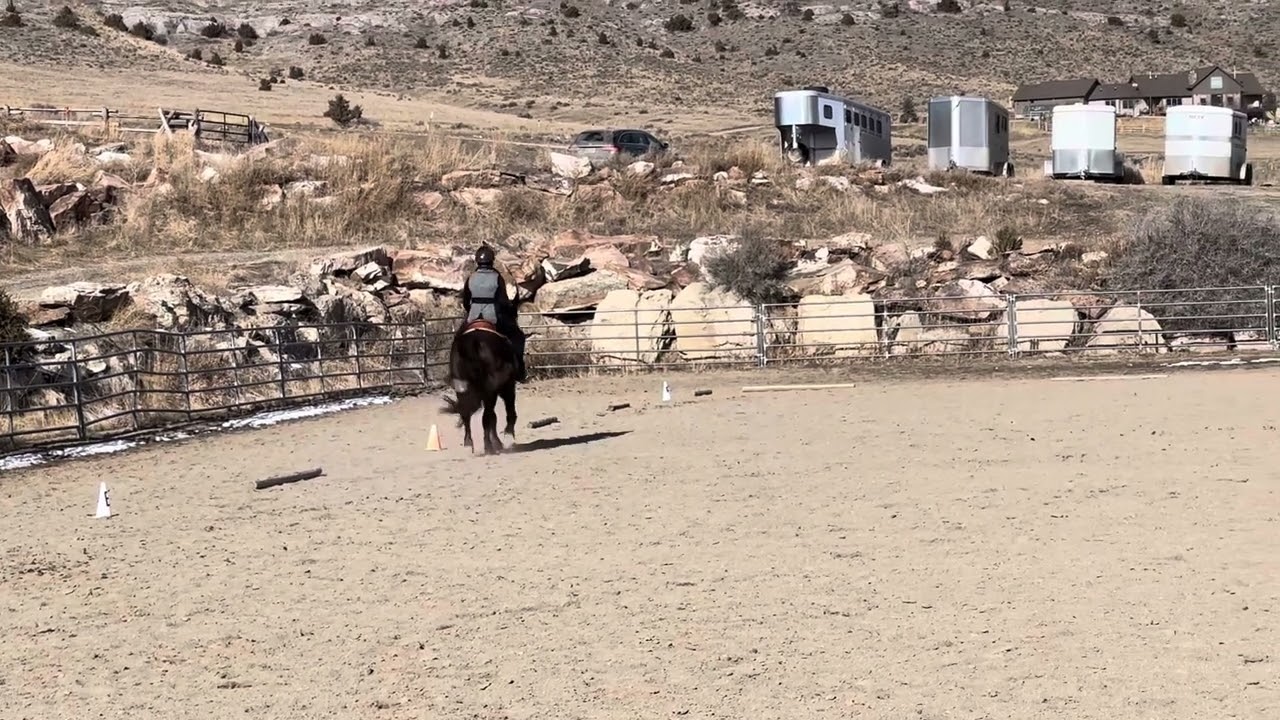 WDAA 24 182 (Jan 10-29, 2024) - Intro Level Test 4 - Jessica Normand