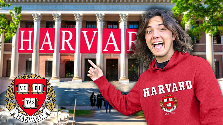 Harvard university today recognized as part of the top năm 2024