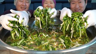 열무김치 만드는 전 과정! 맛있는 보쌈과 열무 비빔국수 먹방! (How to make Young radish Kimchi) 요리&먹방!! - Mukbang eating show