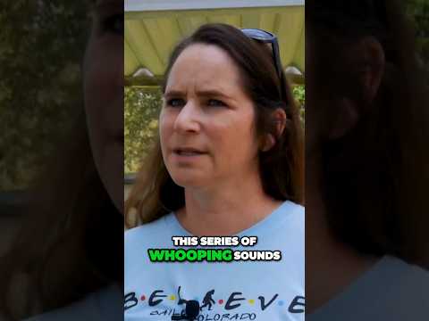 Woman woken by whooping sounds made by Bigfoot in Oklahoma wilderness: Sasquatch encounter #bigfoot