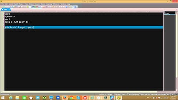 VMWare - 05 06 establish internet connectivity and install softwares on CentOS