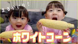 【ちびっこモッパン】甘すぎるホワイトコーンに姉妹驚愕😵❗️丸かじりが止まらない😍🌽