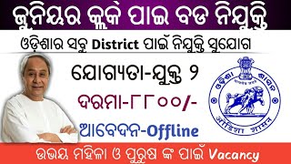 Junior Clerk Recruitment 2020!! All Odisha Rural Level Govt Jobs!! 10th pass Govt Job Recruitment!!