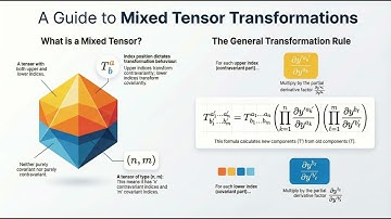 A Formal Guide to Covariant Projections and Contravariant Paths