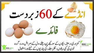 Anda Khane Ke Fayde/Fawaid | Egg Benefits in Urdu/Hindi | Egg Khanay Ke Fayde (Daily Benefits) 2021