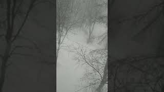 16 02 2021 Weather Komsomolsk On Amur