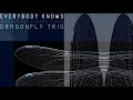 Dragonfly trio  everybody knows instrumental