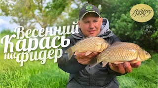 видео: Ловля карася на фидер весной | Эту добавку в прикормку карась обожает | Рыбалка на диком водоеме картинка: Ловля карася на фидер весной | Эту добавку в прикормку карась обожает | Рыбалка на диком водоеме