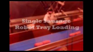 Robot Picking & Tray Loading Conveyor System