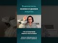 Взаимосвязь осанки и уровня энергии