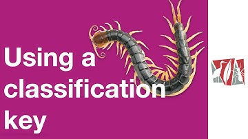Using a classification key