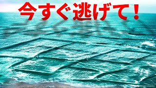 四角い波が見えたら、すぐに水から出て！