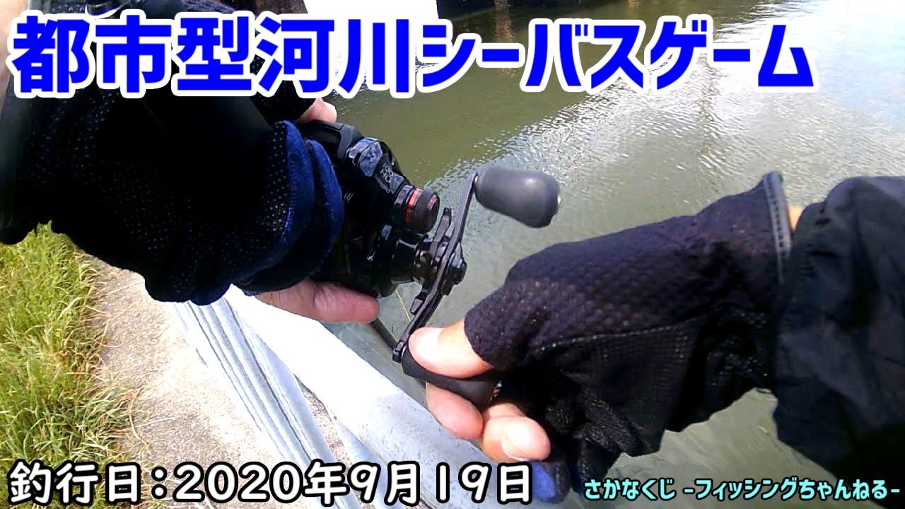 都市型河川シーバスゲーム 雨 鉄道橋 岸辺にて編 Youtube 都市型河川シーバスゲーム 雨 鉄道橋 岸辺にて編 Youtube