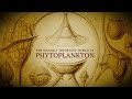 Phytoplankton and Their Impact on the Environment