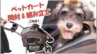 ペットカートからのぞく子犬がかわいい！４WAY PET CART_The puppy peeping from the pet cart is cute!【ミニチュアシュナウザー】