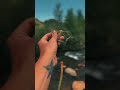 Make a wish #makeawish #poetryoflife #natureheals #creeklife #blackhills