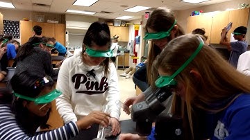 Mannequin Challenge for Science