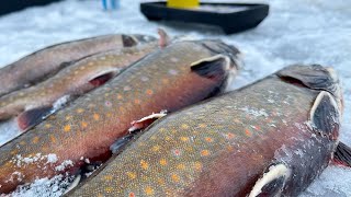 Bounty of Brook Trout - A Day In Eight