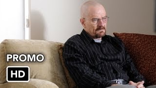 Breaking Bad 4x03 Promo 