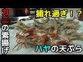 川で捕ったハヤとサワガニを料理して食う！