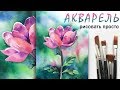 «Цветы. Анемон» как нарисовать 🎨АКВАРЕЛЬ | Сезон 2-7 |Мастер-класс для начинающих