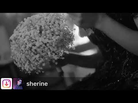 شرين عبد الوهاب عم جرب حب وقف خمسه ونص