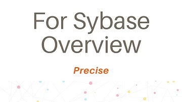 Precise for Sybase Overview