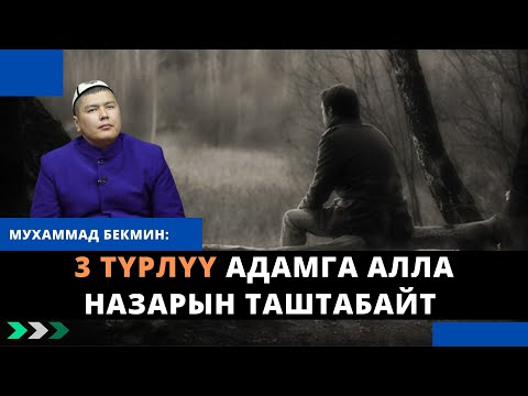 Video: Менин трейлеримде кандай түйүндөр бар экенин мен кайдан билем?