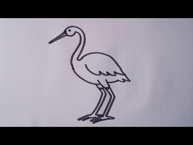 How to draw and coloring JAPANESE CRANE BIRD step by step - YouTube