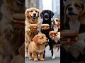 Uske Paas Khana Nahi Tha… Phir Ek Din Black Car 🚗 Dog Comeback Story #desidog #superdog #aistory