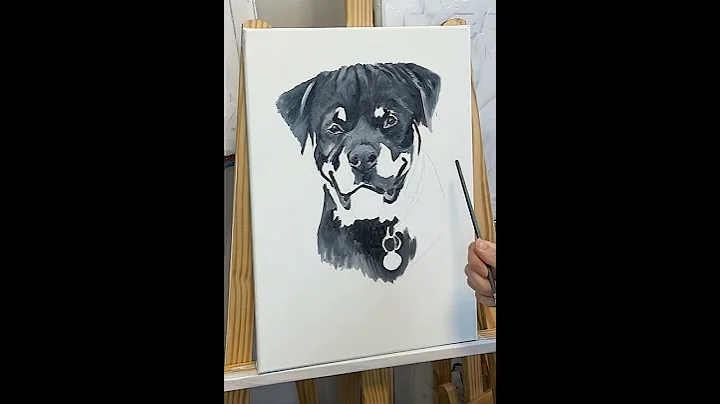 Rottweiler Timelapse Video