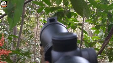 นั่งต่อไก่ป่ากับปืนcz 457 เทรนนิ่ง .22lr(กระรอกเข้าเพียบ)!!!คลิปนี้ไม่ยิงนะครับมันเยอะเกิน hunting