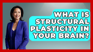 What Is Structural Plasticity In Your Brain? - Brain Development Hub